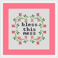 Bless This Mess Cross Stitch Kit.