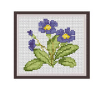 Primula Cross Stitch Pattern.