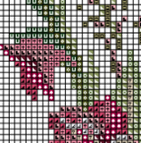 Gladiolus Counted Cross Stitch Pattern