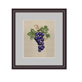 Grape Cross Stitch Pattern.