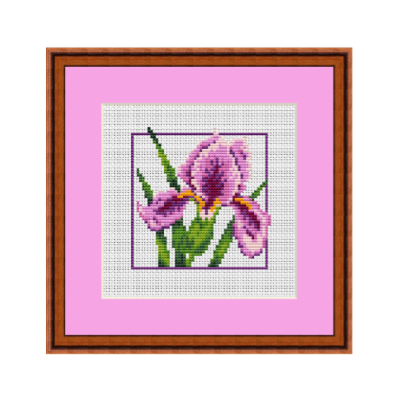 Iris Cross Stitch Pattern.