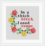 I'm Thick Bitch I Need Tempo. Lizzo Tempo Starter Cross Stitch Kit For Beginners. Lyrics Cross Stitch Kit. Wreath Cross Stitch