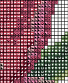 Peony Cross Stitch Pattern.