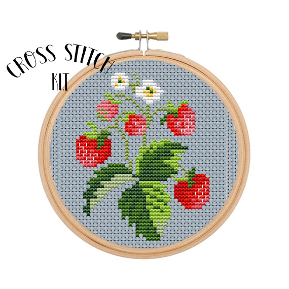 Strawberry Kid Beginner Modern Counted Cross Stitch Kit – Spot Colors