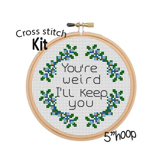 That's What She Said Cross Stitch Kit. Funny Cross Stitch. Modern Embr
