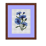 Cornflower Counted Cross Stitch Pattern.