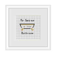 No Selfies in the Bathroom Cross Stitch Kit